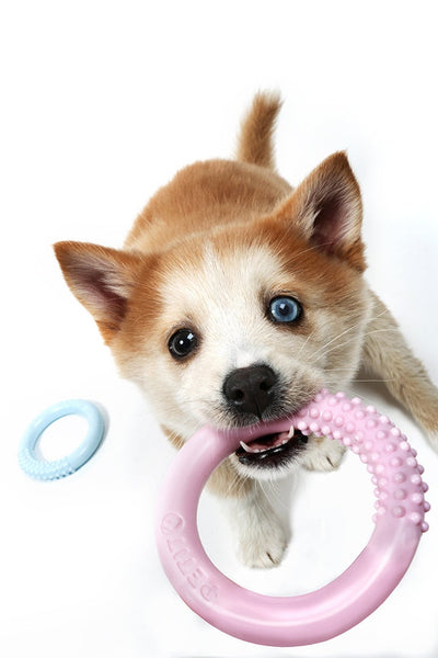 Petit Lola - Teething Ring