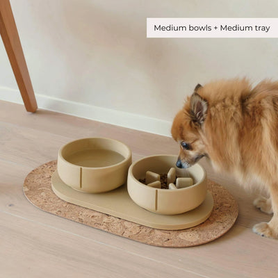 Tray