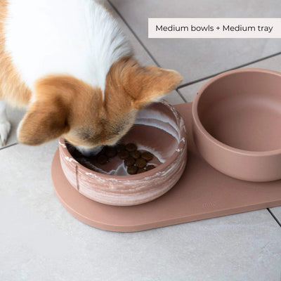 Tray