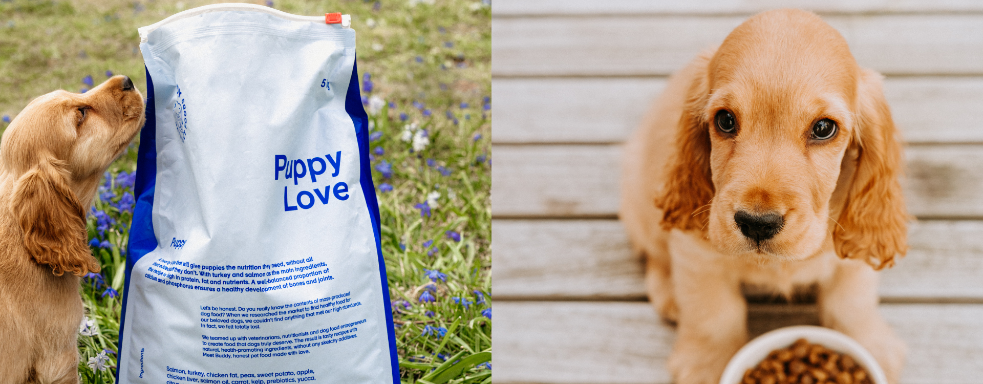 Paws dog top food promo code