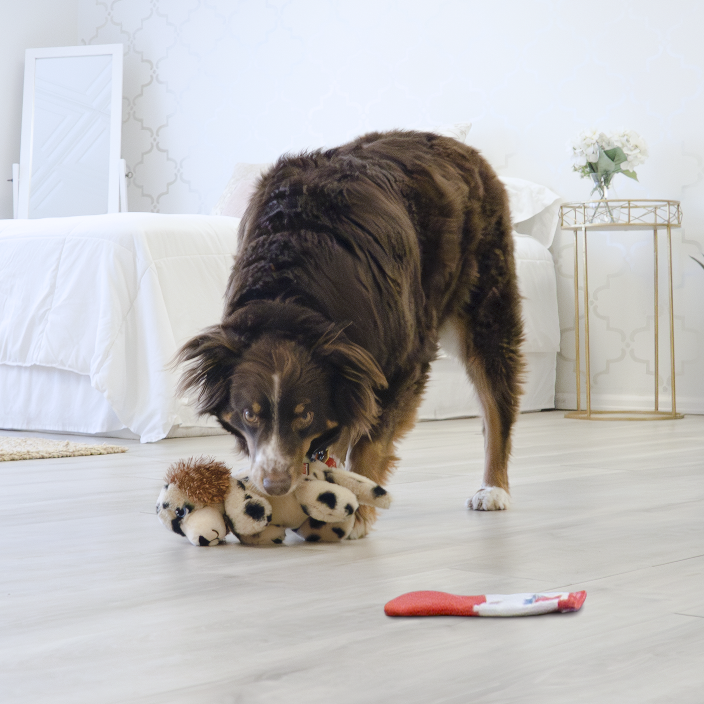 KONG Comfort Pups Spot M