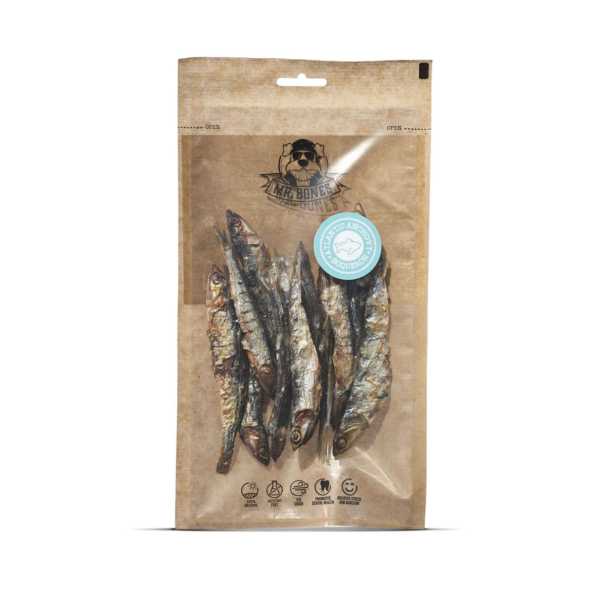 Atlantic Anchovy