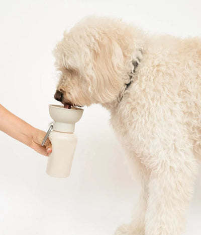 Flip Water Bottle