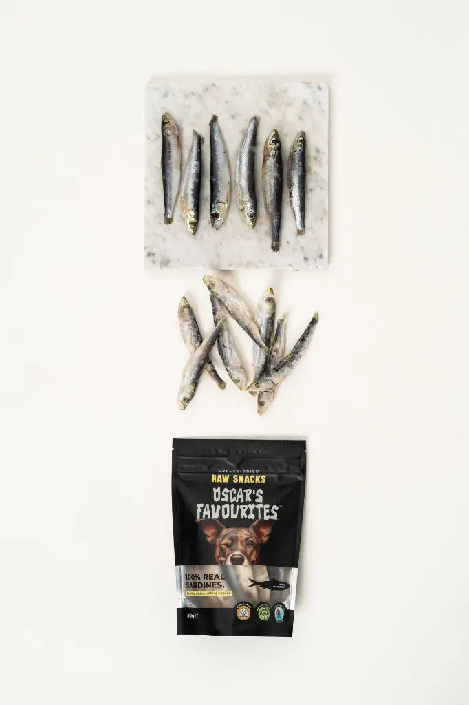 Sardines