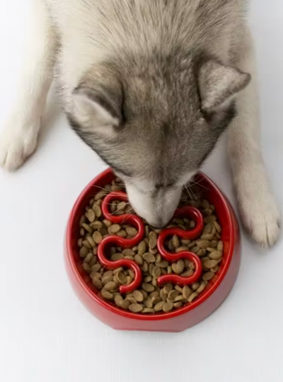 Slow Feeding Dog Bowl - Grey