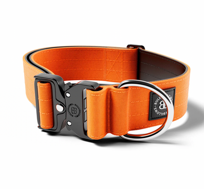 Bully Billows - Collar Orange