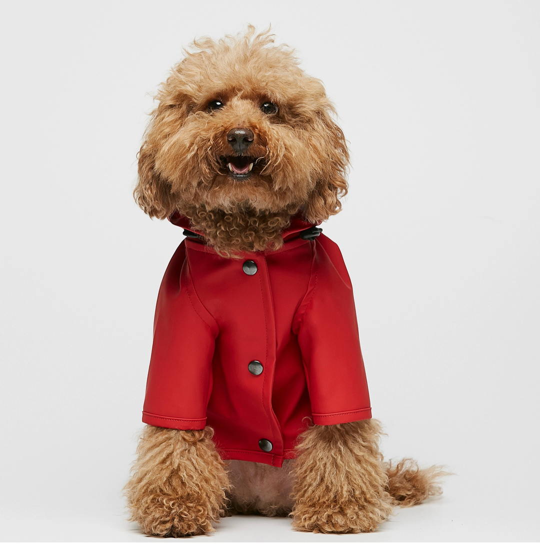 Adrenaline Red Sarah Raincoat – Paws Up Pet Shop