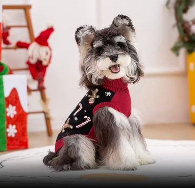 Christmas Turtleneck Sweater