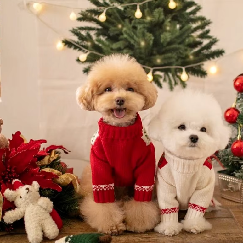 Christmas Pet Sweater