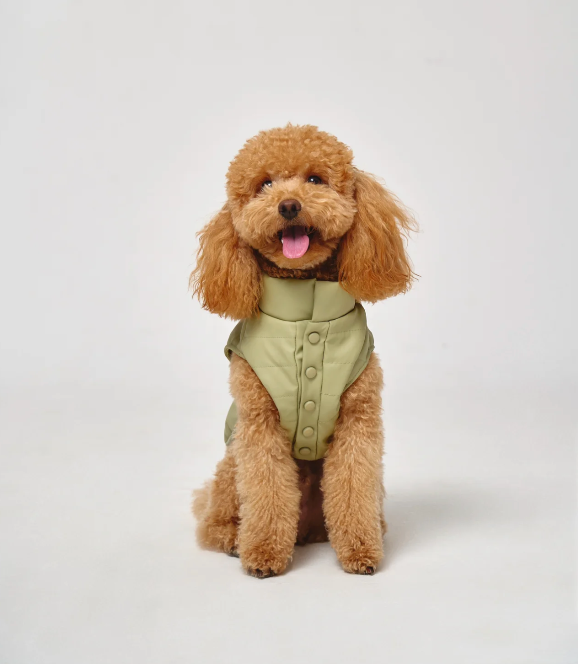 Puffer Dog Vest 