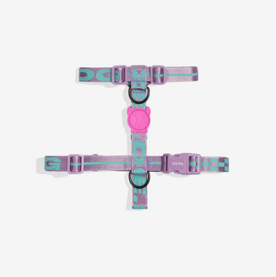 Aura Harness