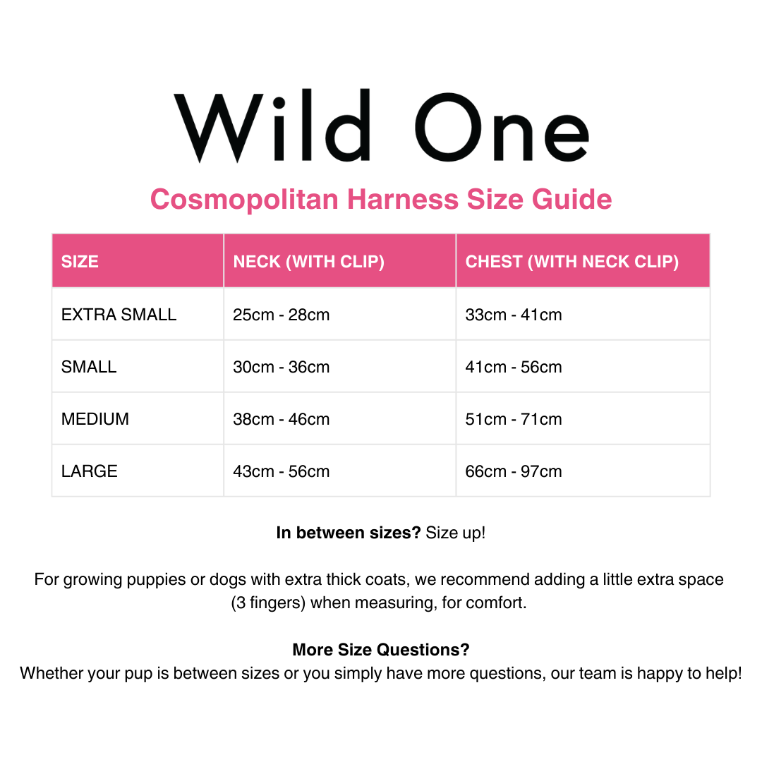 秘密 - TOP SECRET 全12巻セット➕WILD CATS Zzoton Forest Concert Series Vinyl Plush Headphone Bag Blind Box