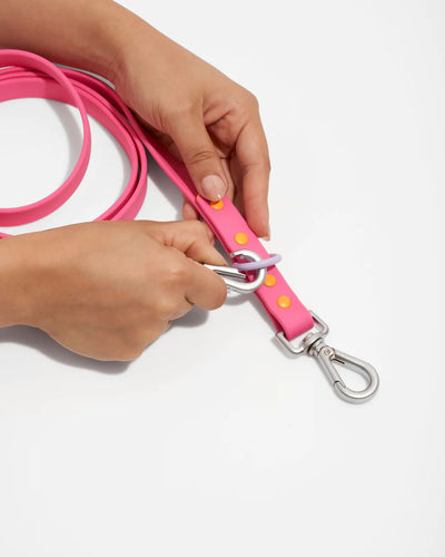 Leash from Wild One - Limited Edition - Cosmopolitan