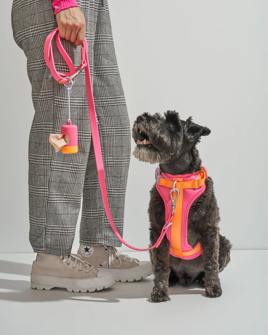 Wild one dog leash new arrivals
