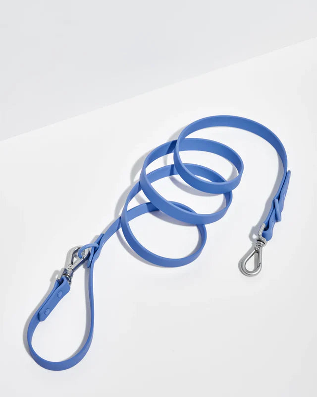 Leash Moonstone