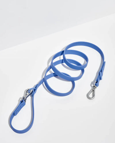 Leash Moonstone
