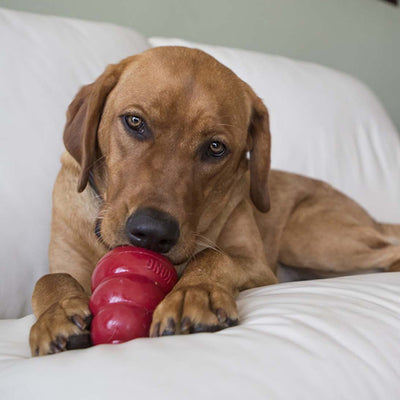 KONG Snacks