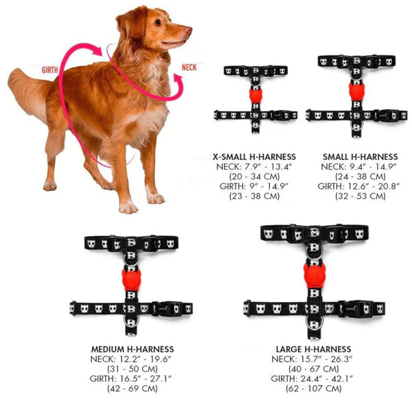 Gotham Harness