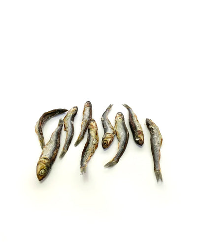 Atlantic Anchovy - 100% Natural Snack