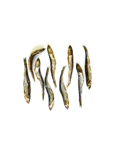 Raw Treats Atlantic Anchovy Snack