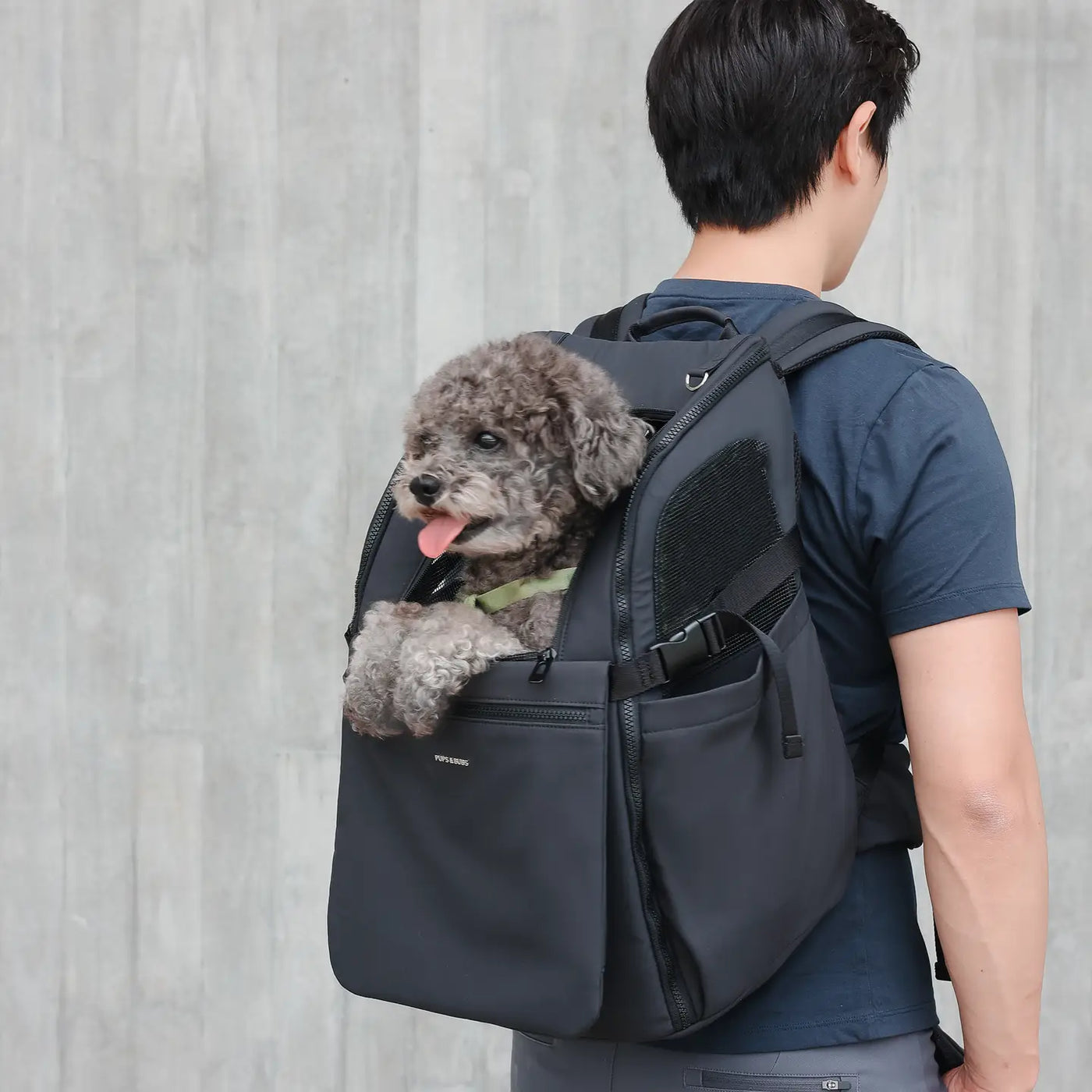 Traveler Pet Carrier Backpack