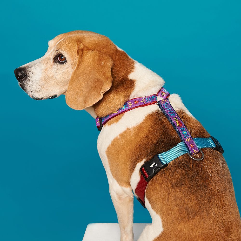 SuperDog Harness from Sharik