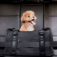 Onboard Travel Pet Carrier