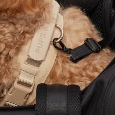 Onboard Travel Pet Carrier