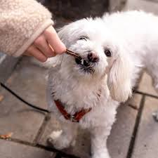 Dental Chew Duck Treat
