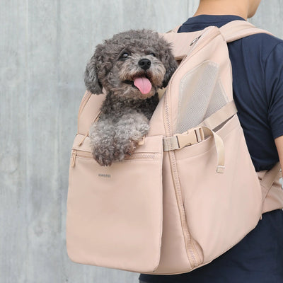 Traveler Backpack