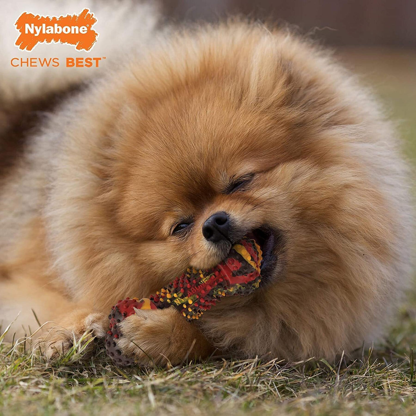 Bacon Cheeseburger Strong Chew Bone