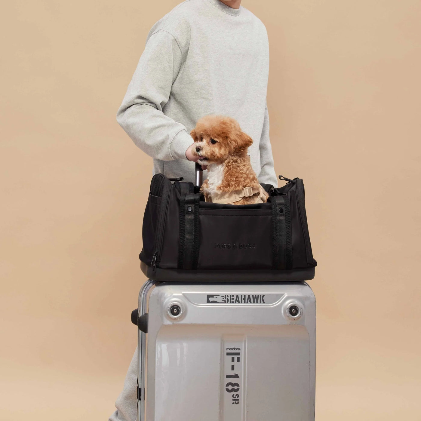 Onboard Travel Pet Carrier