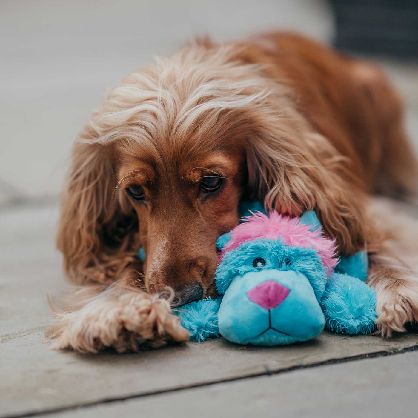 KONG Cozie Assorted Pastels