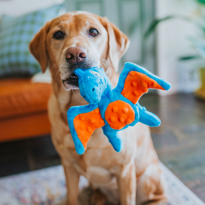 Mini Dinosaur