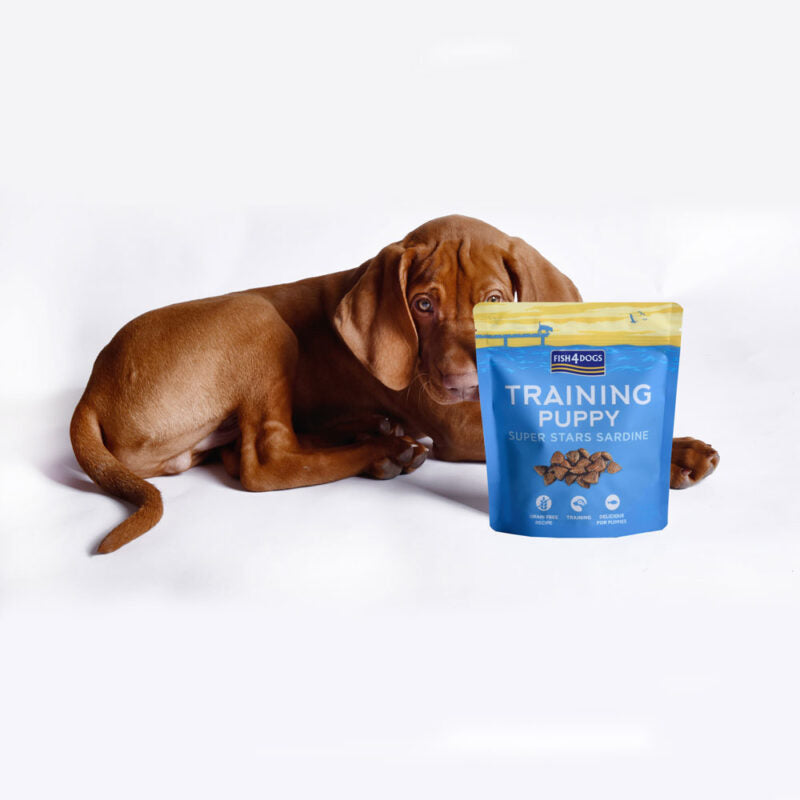 Puppy Super Stars Sardine