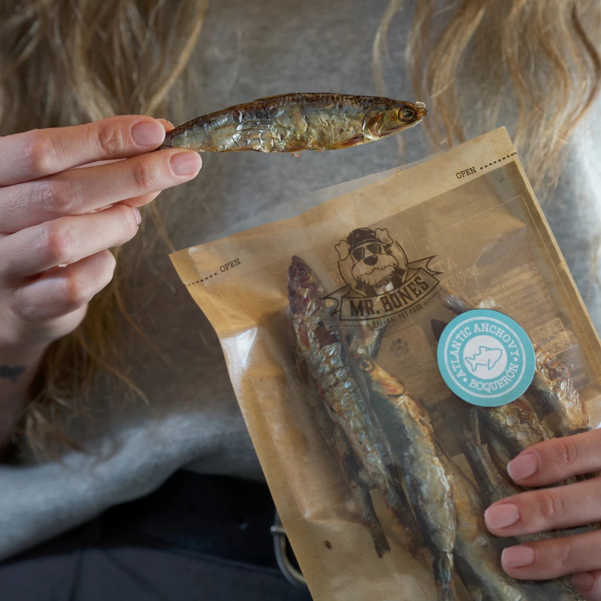Atlantic Anchovy