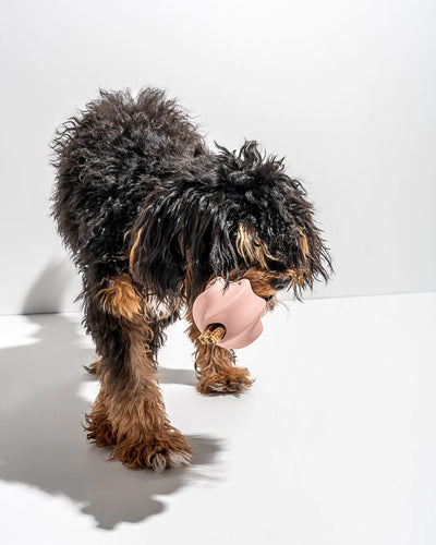 Twist Toy