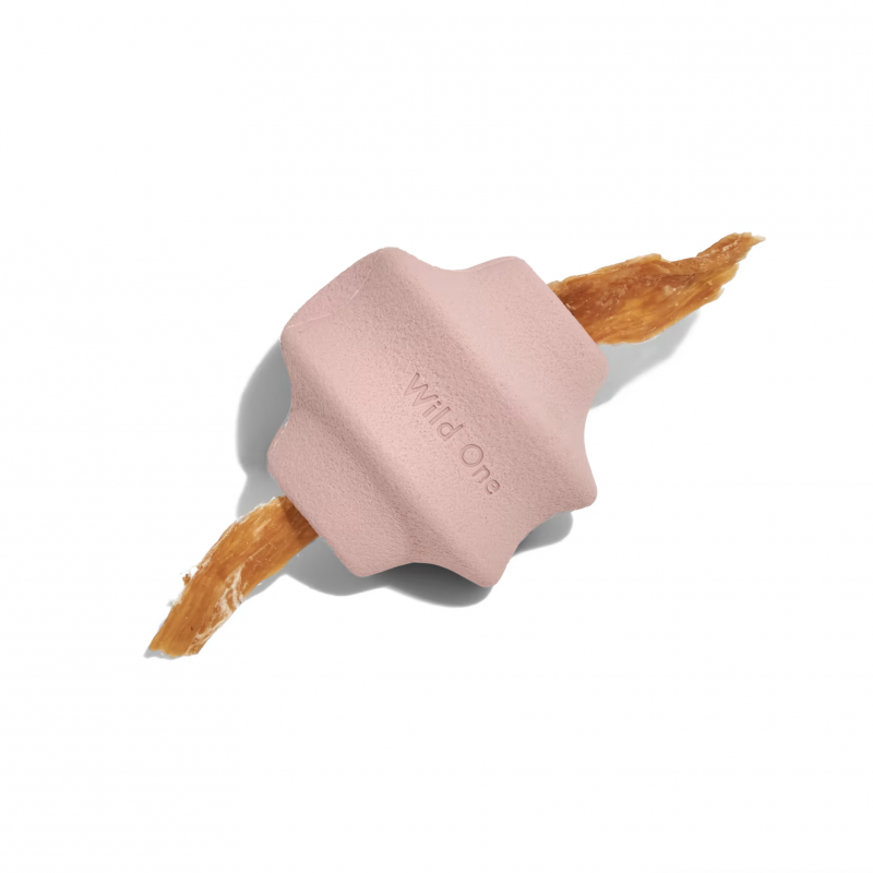 Twist Toy
