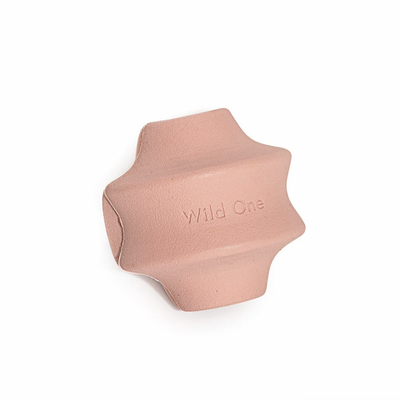Twist Toy
