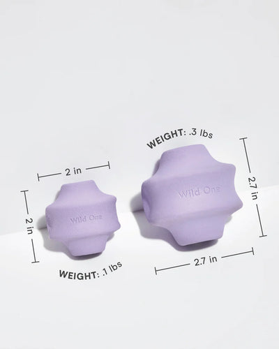 Twist Toy