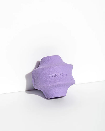 Twist Toy