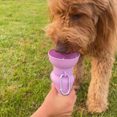 Flip Water Bottle
