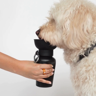 Flip Water Bottle