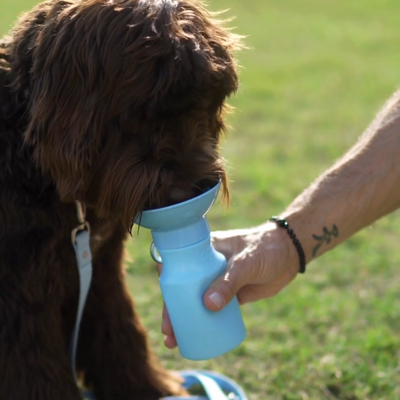 Mini Water Bottle