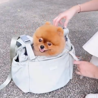 Carry Me Crossbody Pet Carrier