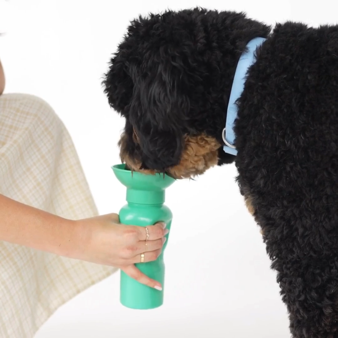 Classic Water Bottle