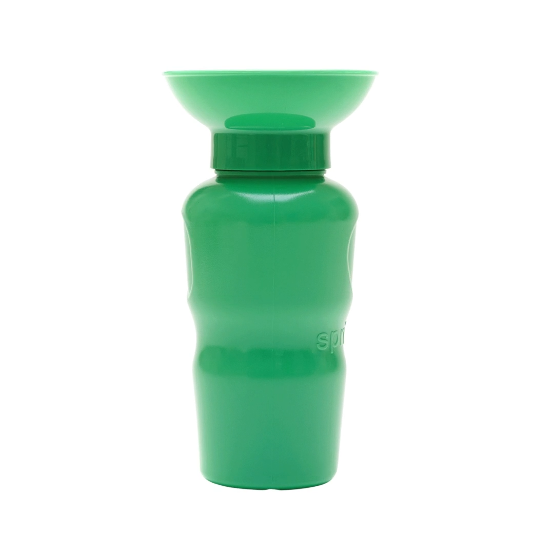 Classic Water Bottle