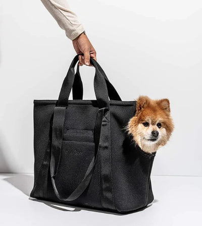 Everyday Carrier