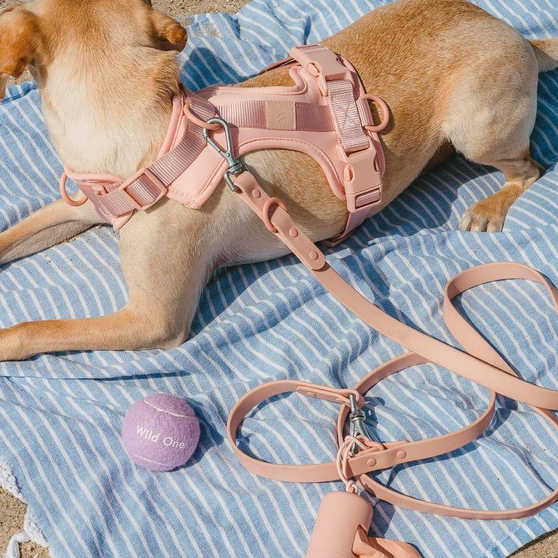 Blush Harness – Paws Up Pet Shop