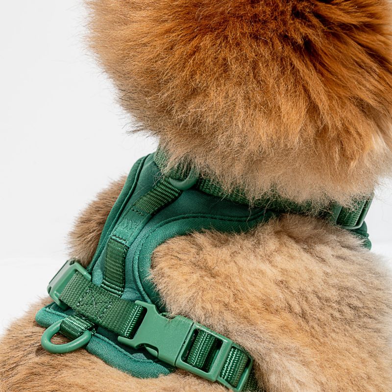 Harness from Wild One - Spruce